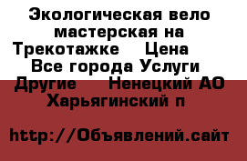 Экологическая вело мастерская на Трекотажке. › Цена ­ 10 - Все города Услуги » Другие   . Ненецкий АО,Харьягинский п.